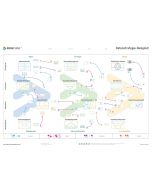 Datentreiber Datenstrategie Designkit A0