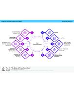 The 10 Principles of Transformation