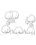 Forest Metaphor A3 Bundle