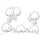 Forest Metaphor A3 Bundle